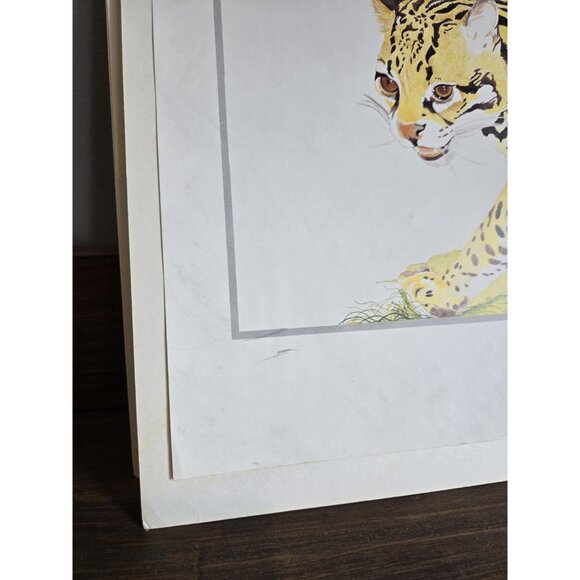 Four Graeme Sims Big Cats Vintage Prints Cheetah Ocelot Siberian Tiger Leopard - Picture 8 of 8